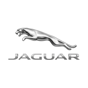 jaguar-300x300