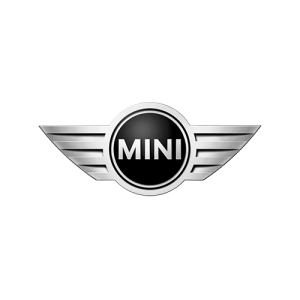 mini-300x300